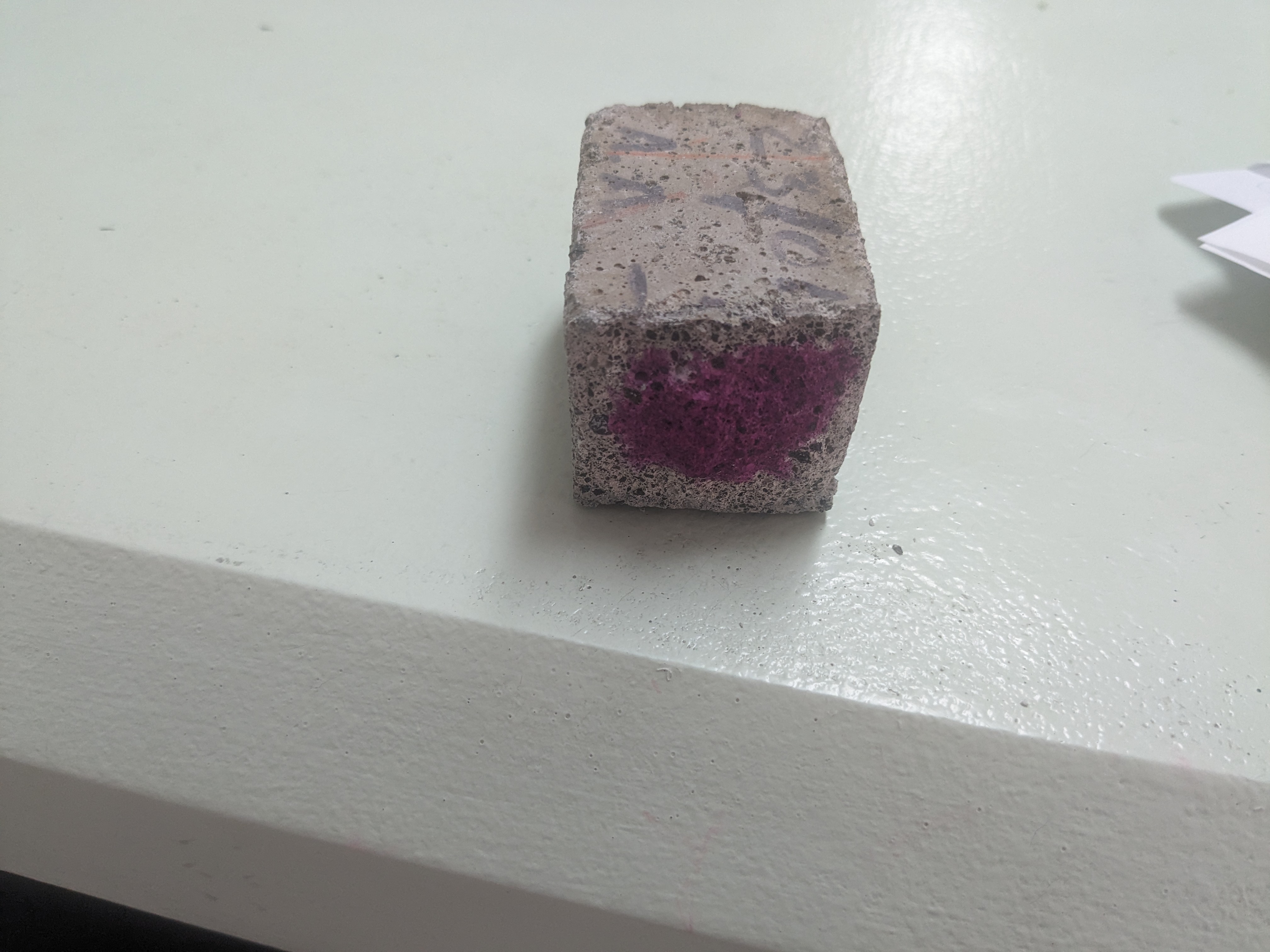 Muestra PXL_20240502_200413428.jpg