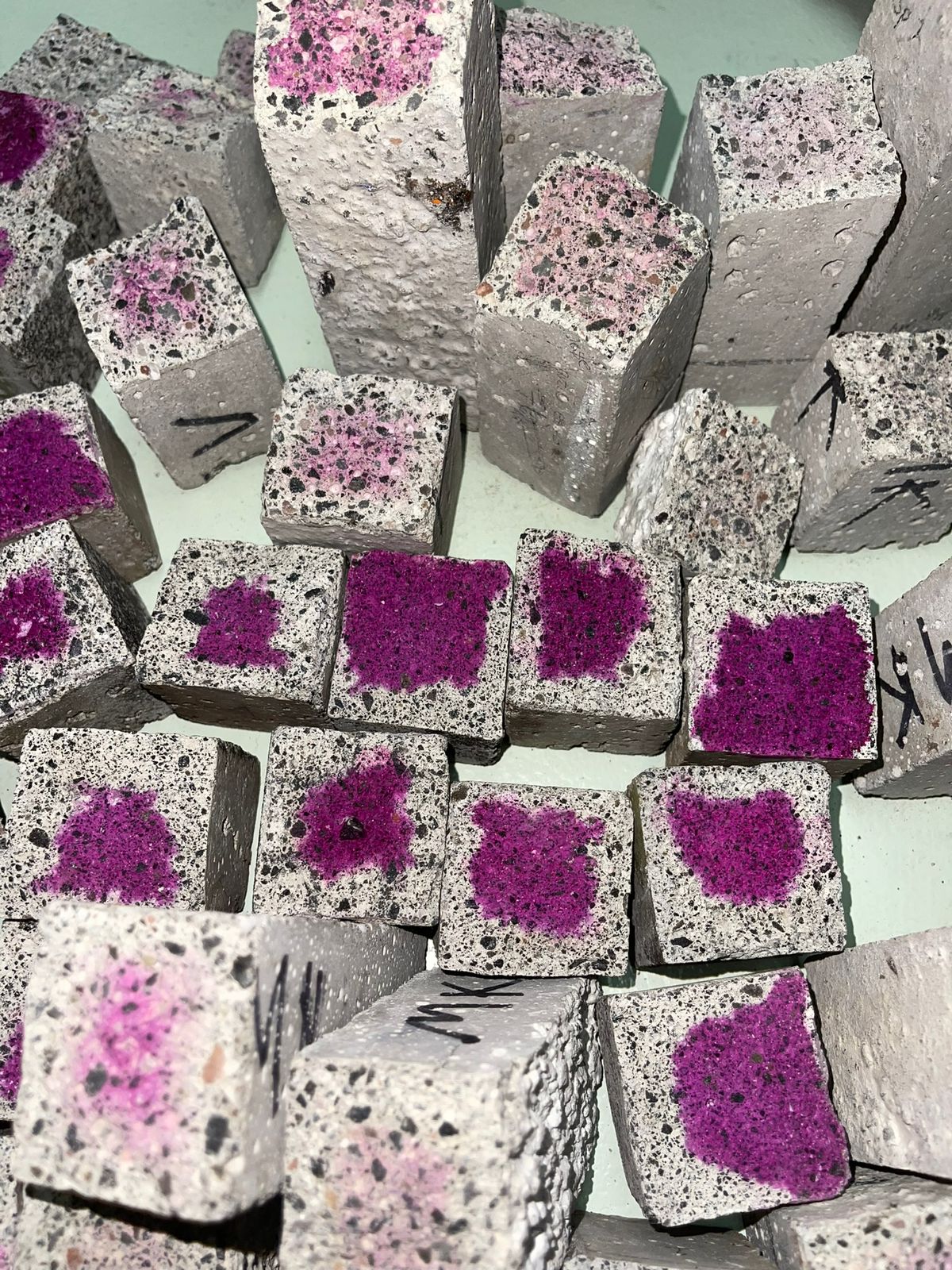 Muestra test_ (1).jpg