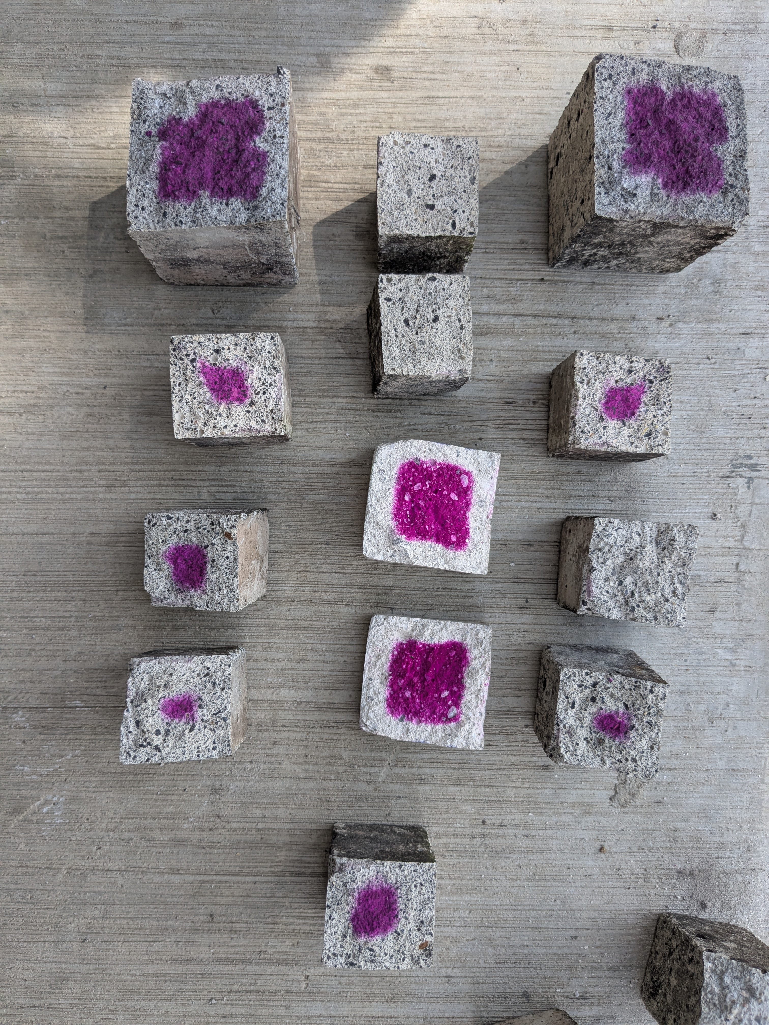 Muestra valid_ (1).jpg