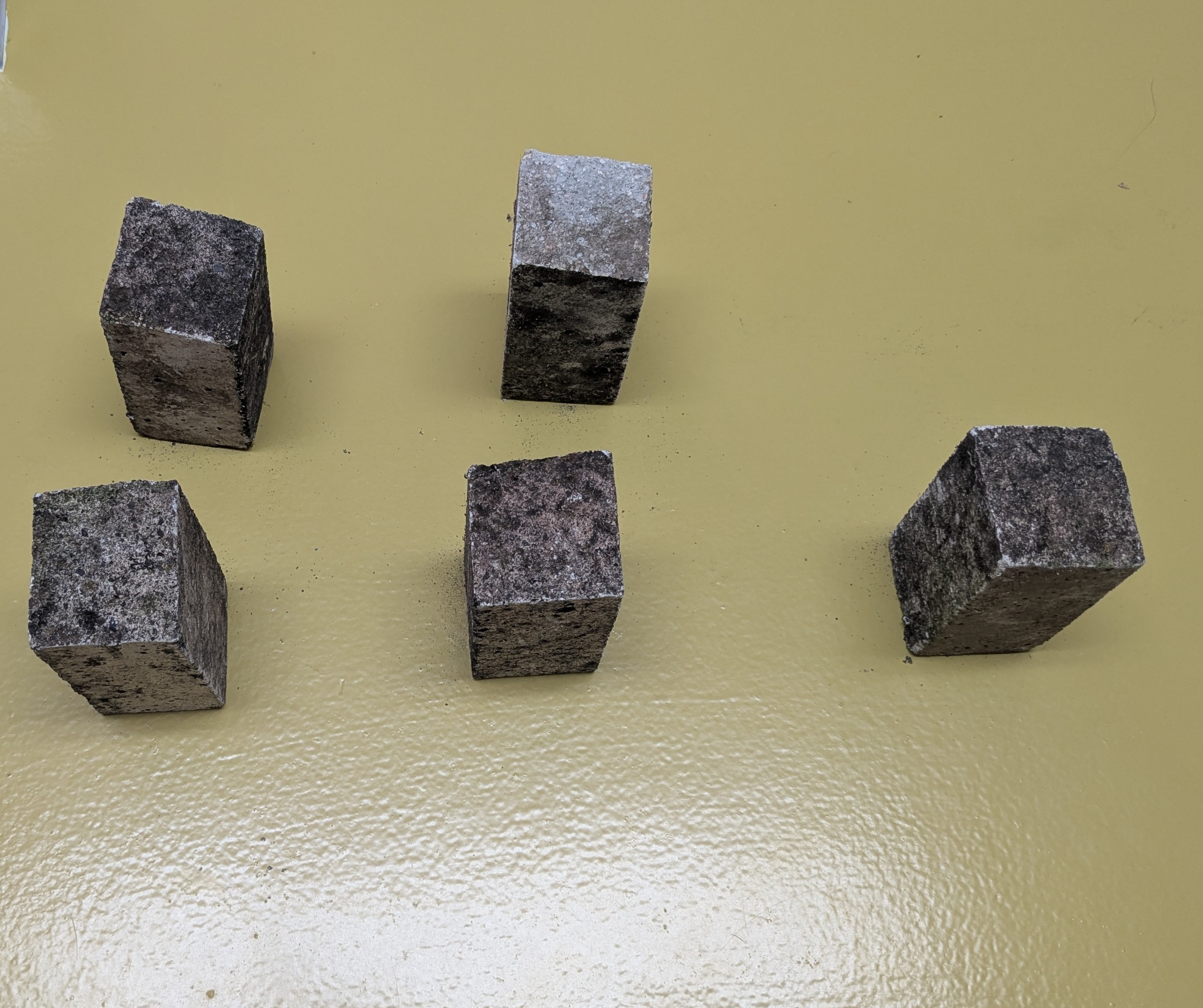 Muestra valid_ (9).jpg